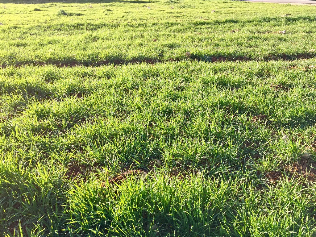 Spring is FINALLY here :-)