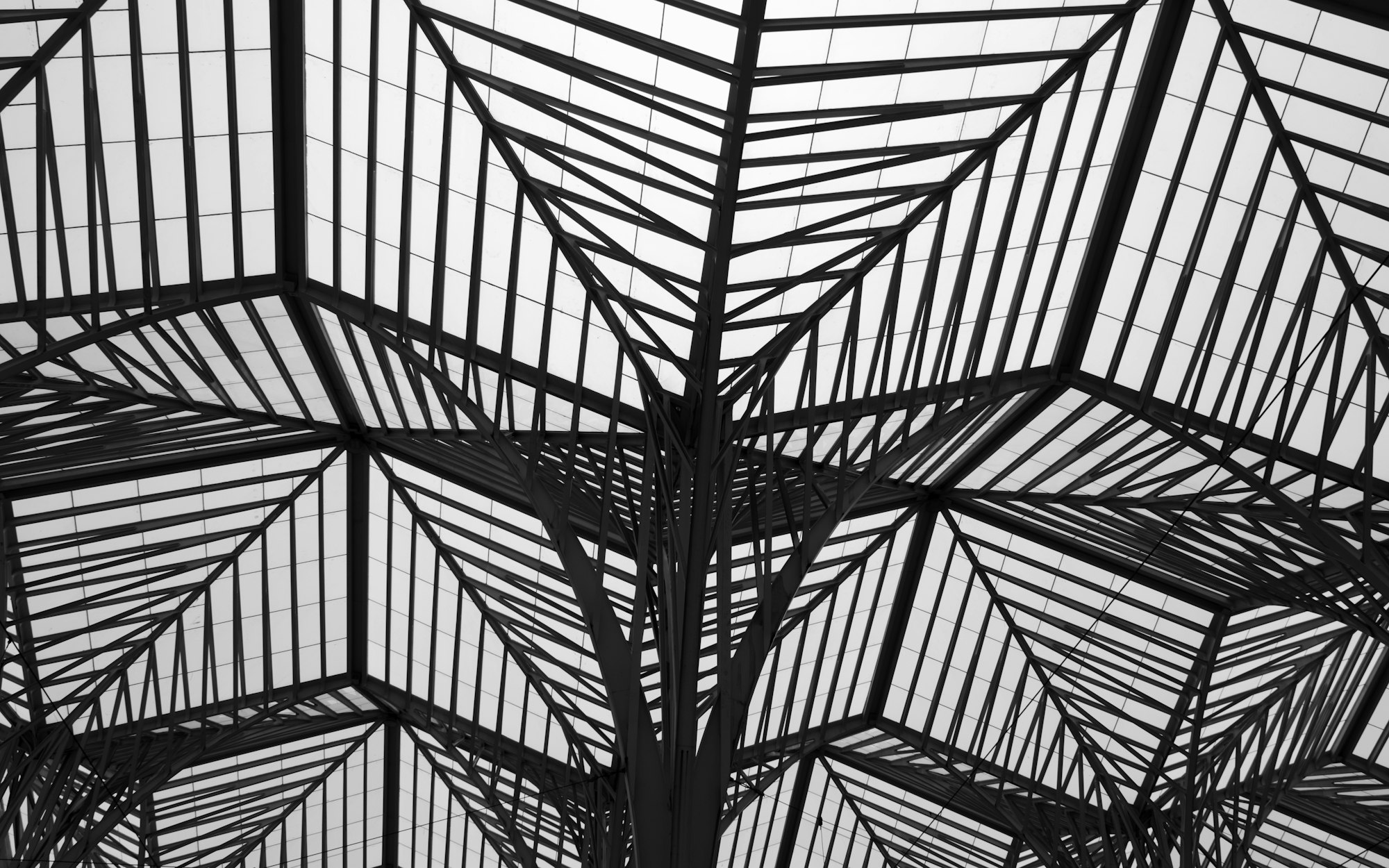 Navigating The Future: Frameworks for Moving Beyond Digitization