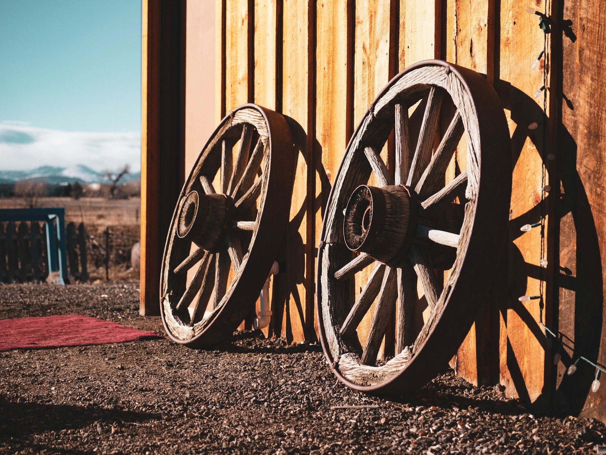 The wheel of traction