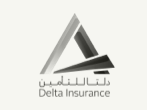 Delta Insurance